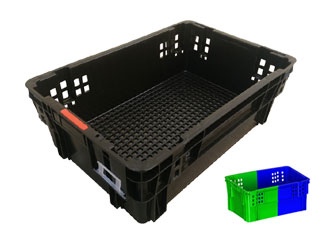 321号双色草莓视频H在线下载筐